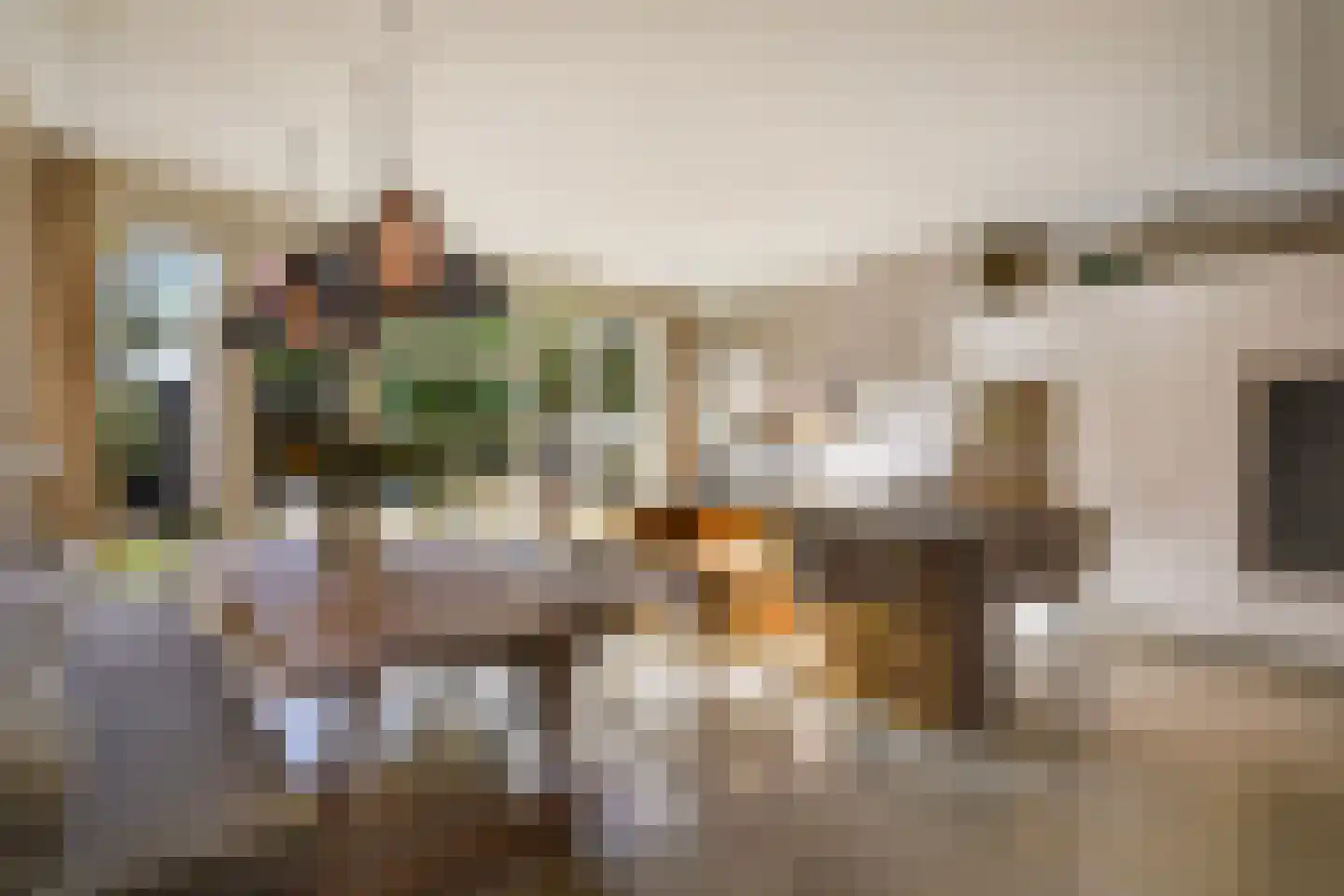 Kwartellaan 16 Den Haag thumbnail 4