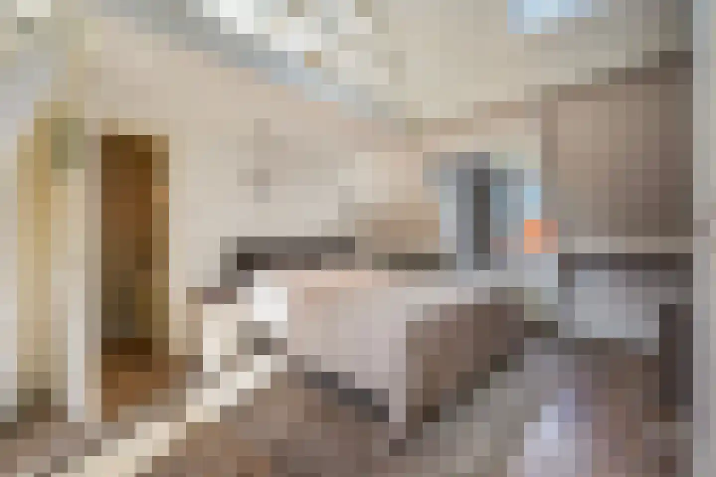 Kwartellaan 16 Den Haag thumbnail 51