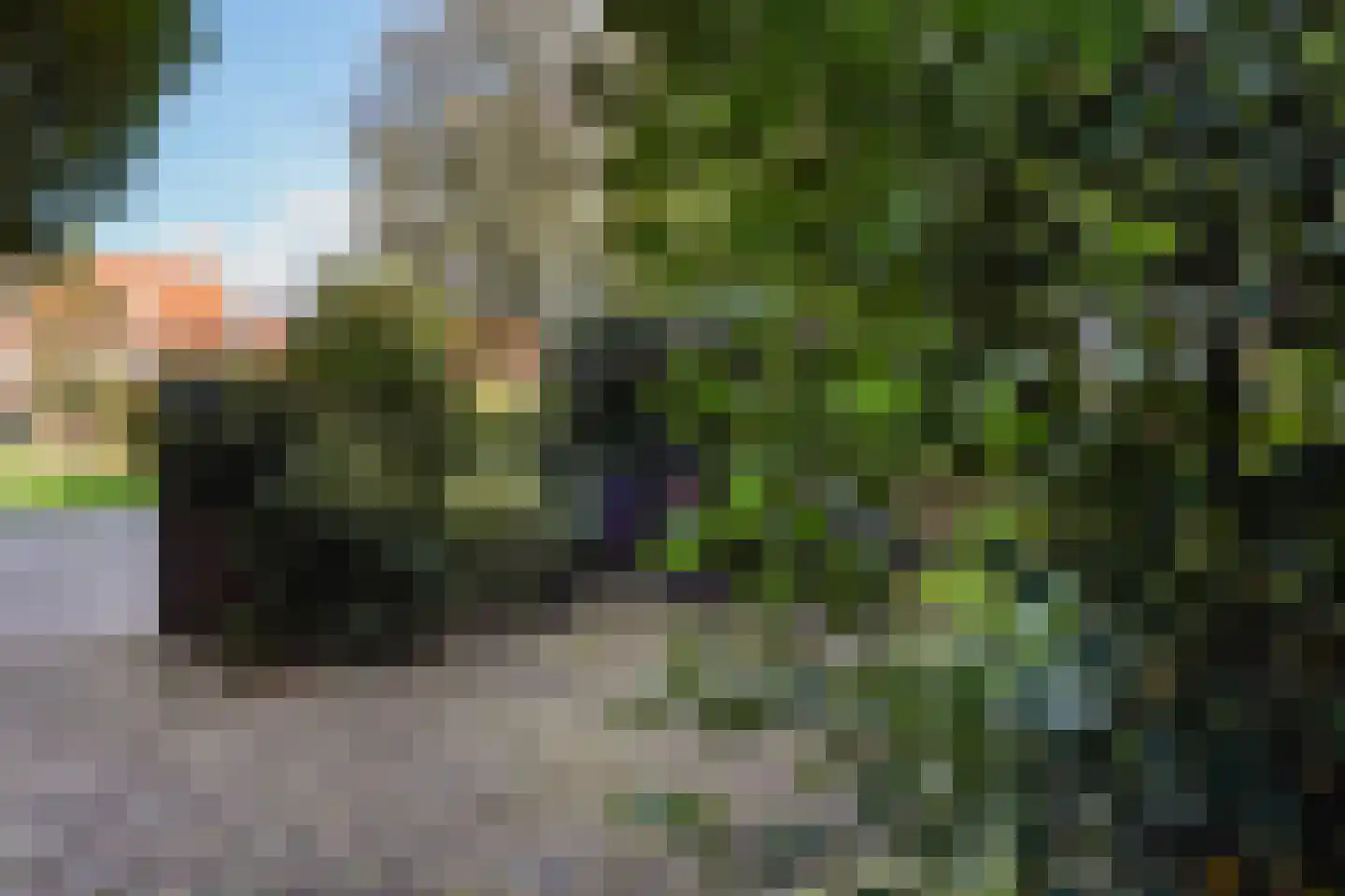 Kwartellaan 16 Den Haag thumbnail 60