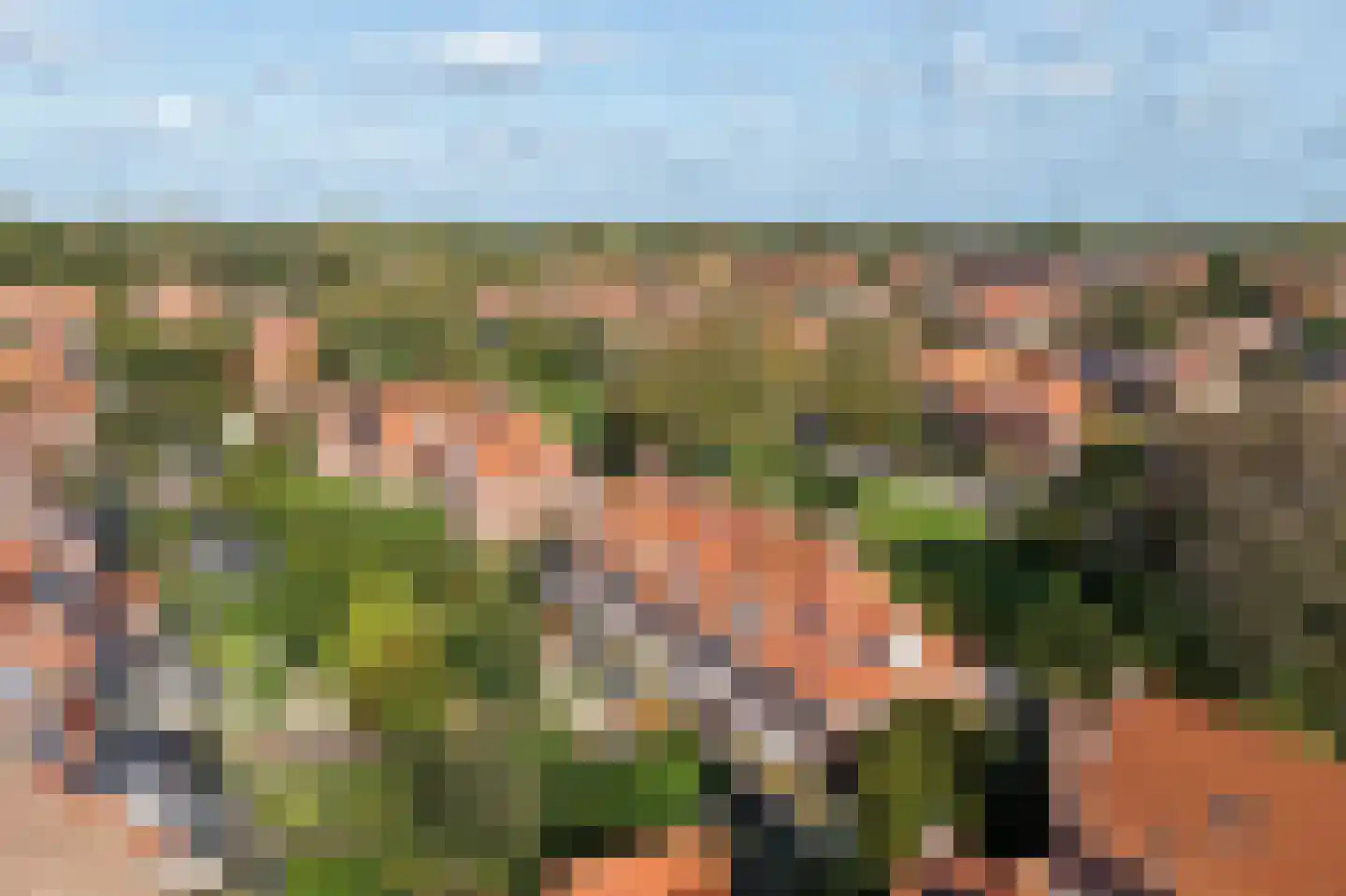Kwartellaan 16 Den Haag thumbnail 63