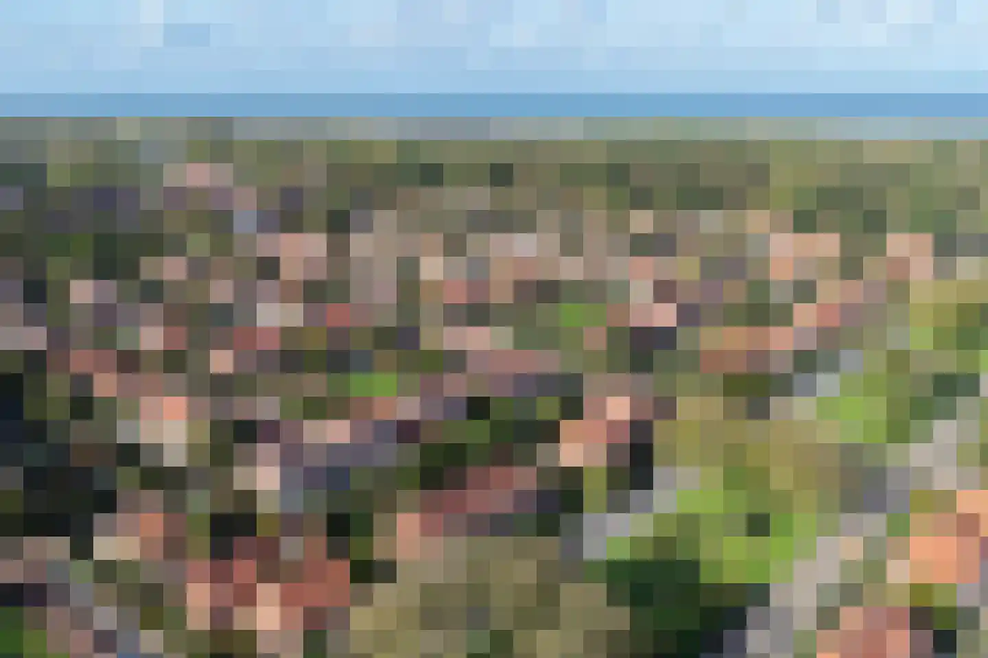 Kwartellaan 16 Den Haag thumbnail 64