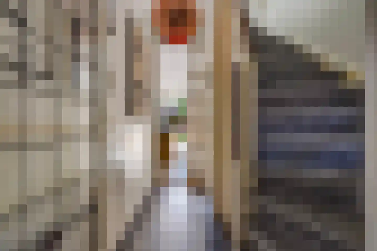 Kwartellaan 16 Den Haag thumbnail 8