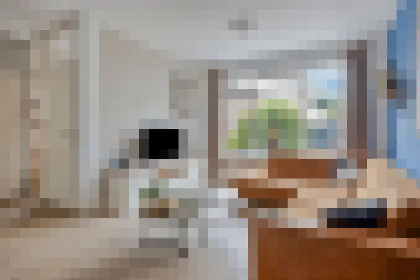 Kwartellaan 2 Boekel thumbnail 10