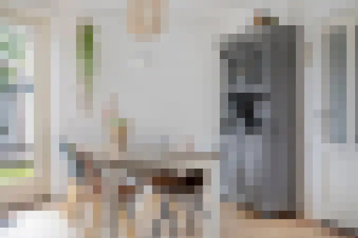 Kwartellaan 2 Boekel thumbnail 19