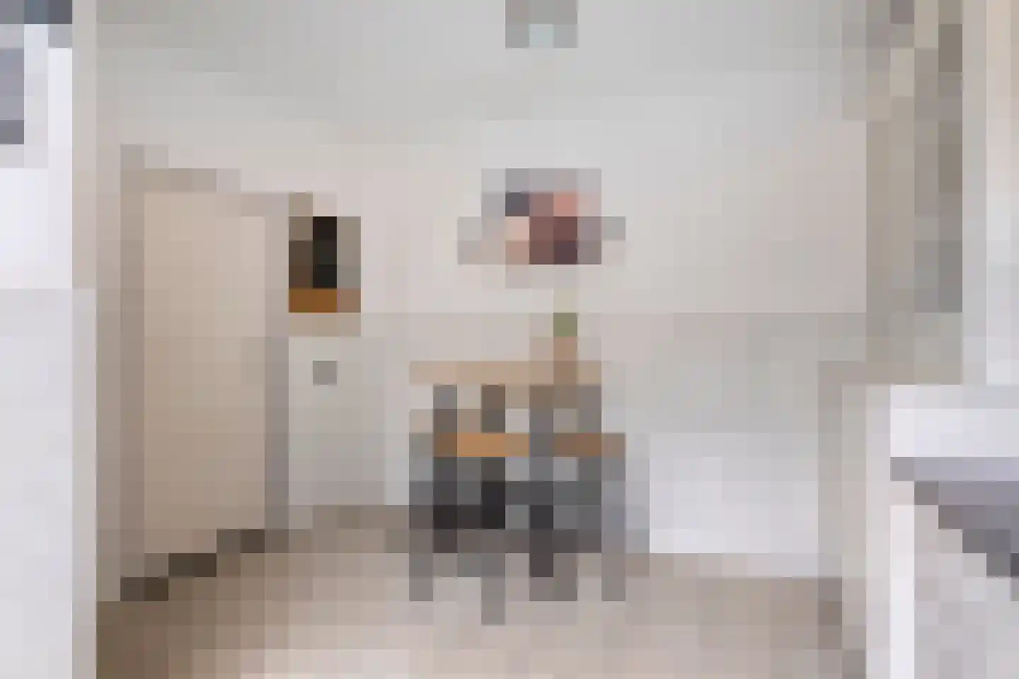 Kwartellaan 2 Boekel thumbnail 29