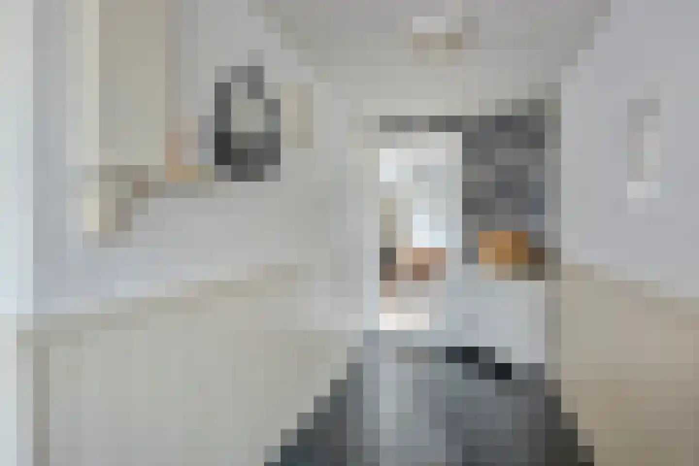 Kwartellaan 2 Boekel thumbnail 30