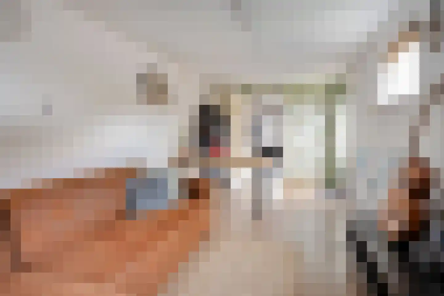 Kwartellaan 2 Boekel thumbnail 33
