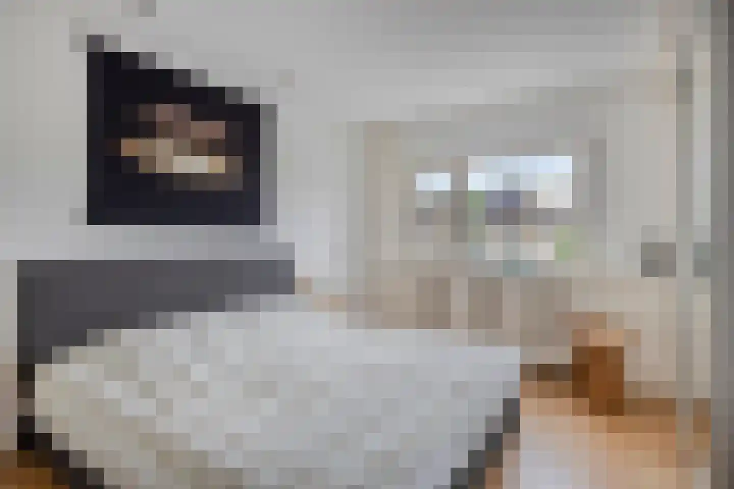 Kwartellaan 2 Boekel thumbnail 35