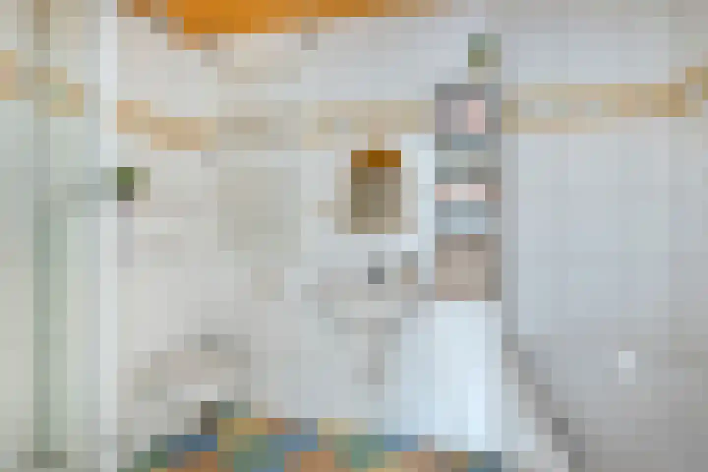 Kwartellaan 2 Boekel thumbnail 41