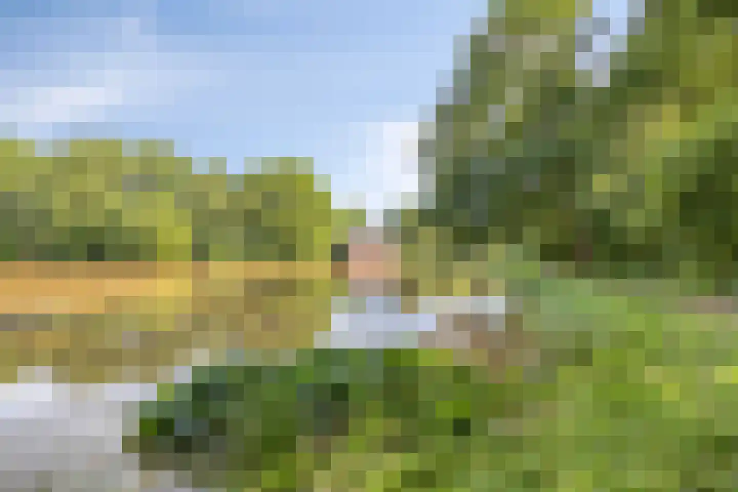 Kwartellaan 2 Boekel thumbnail 57