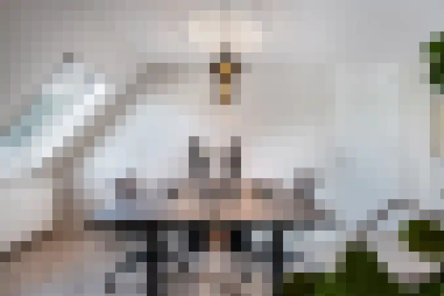 Kwartellaan 27 Almere thumbnail 44