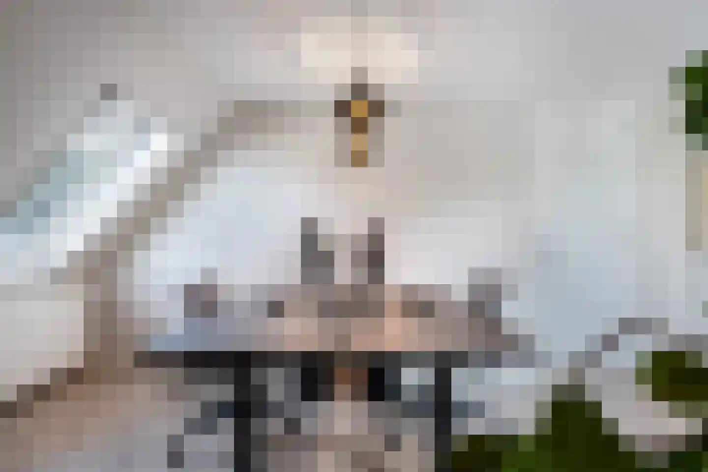 Kwartellaan 27 Almere thumbnail 44