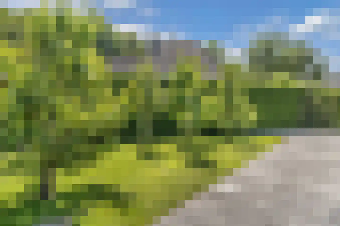 Kwartellaan 27 Almere thumbnail 80