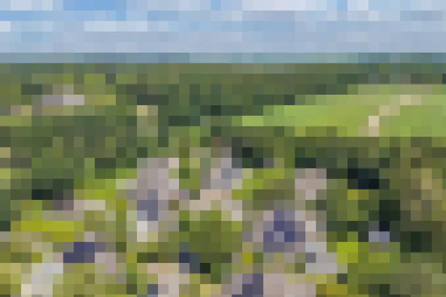 Kwartellaan 27 Almere thumbnail 83