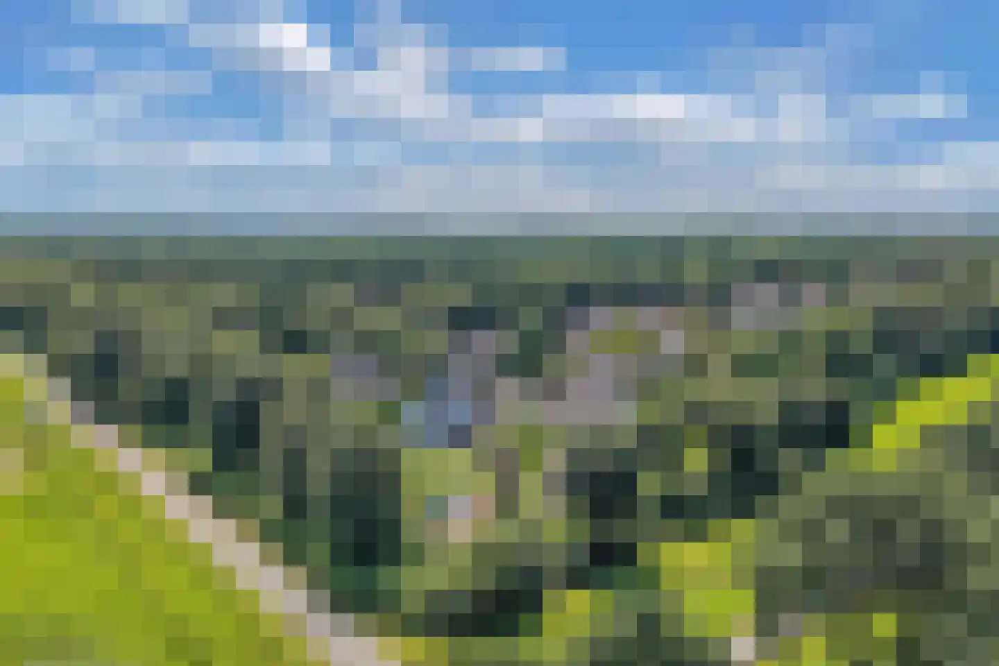 Kwartellaan 27 Almere thumbnail 86