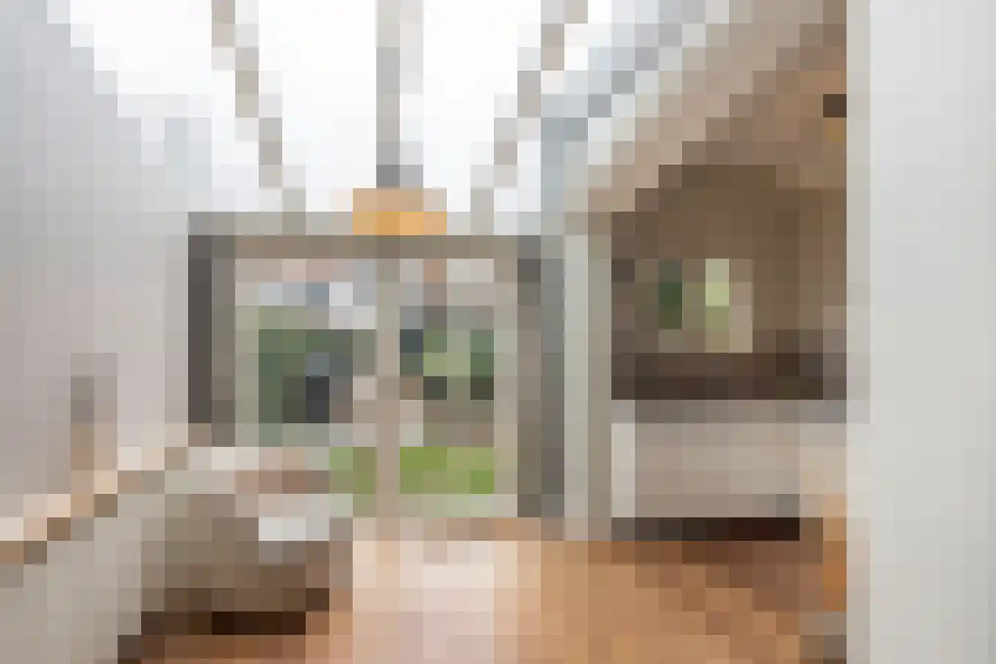 Kwartellaan 33 Vlaardingen thumbnail 14