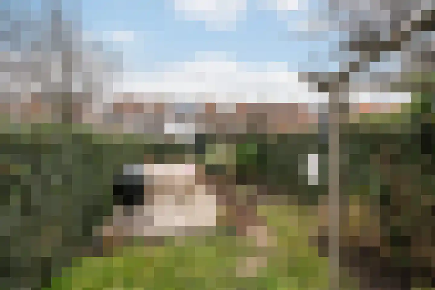 Kwartellaan 33 Vlaardingen thumbnail 18