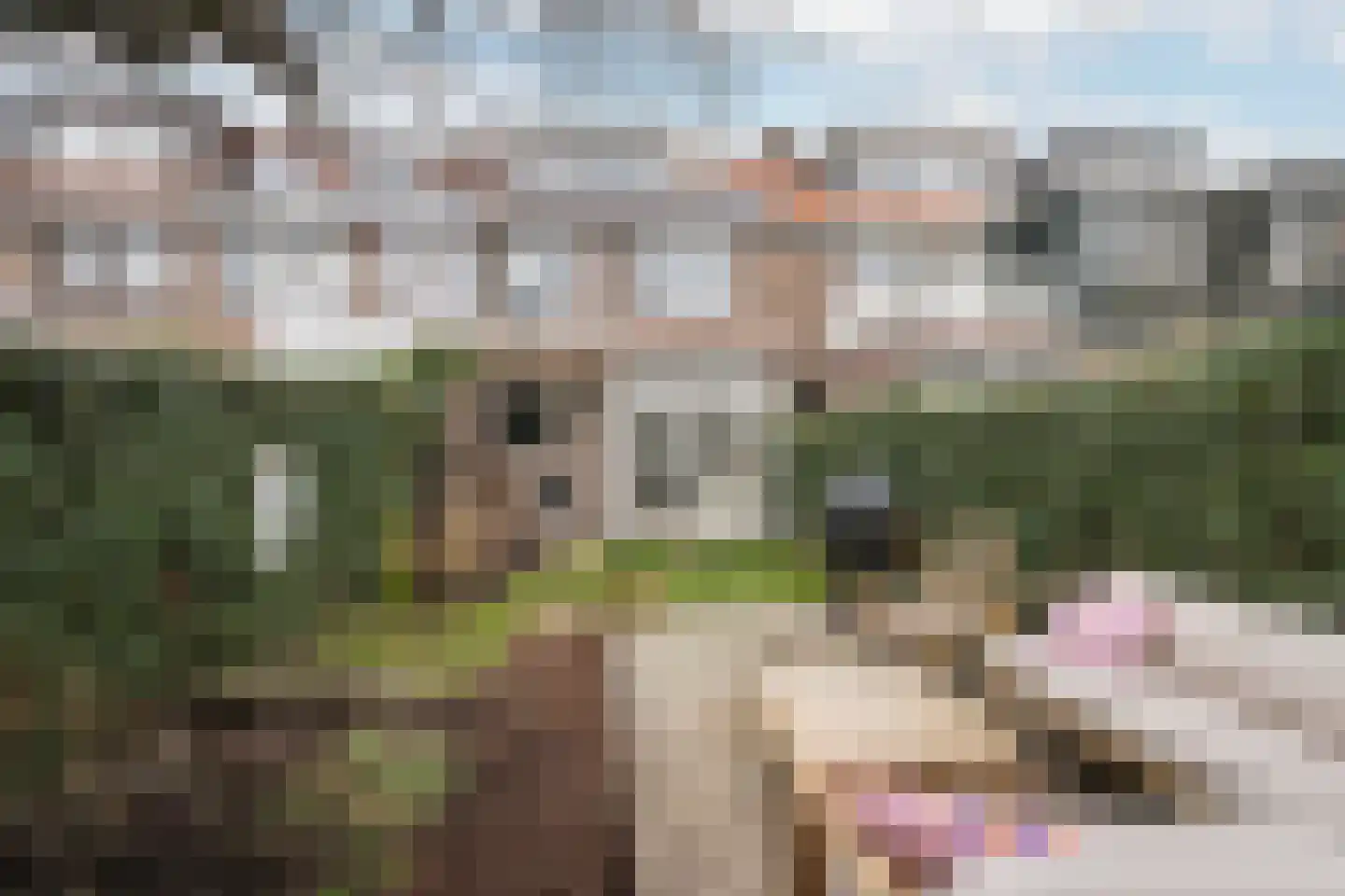 Kwartellaan 33 Vlaardingen thumbnail 19