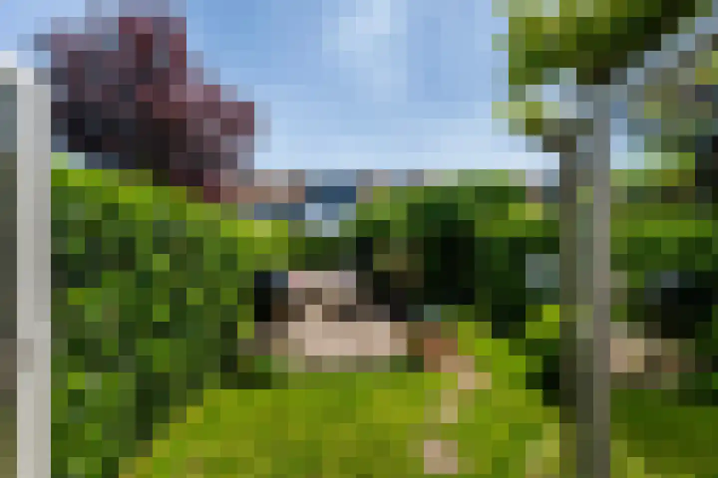 Kwartellaan 33 Vlaardingen thumbnail 20