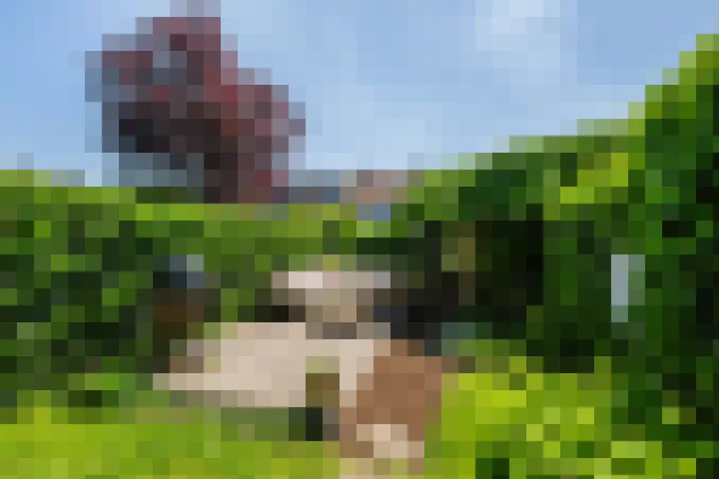 Kwartellaan 33 Vlaardingen thumbnail 4