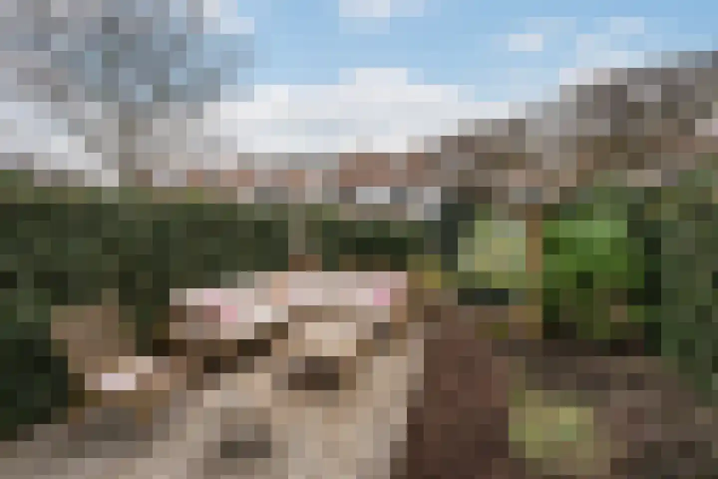 Kwartellaan 33 Vlaardingen thumbnail 4
