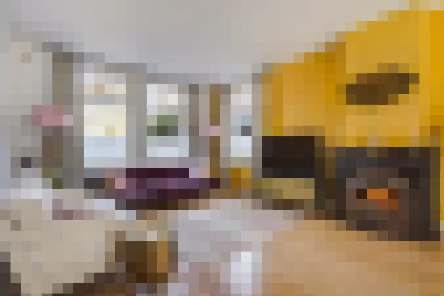 Kwartellaan 34 Den Haag thumbnail 11