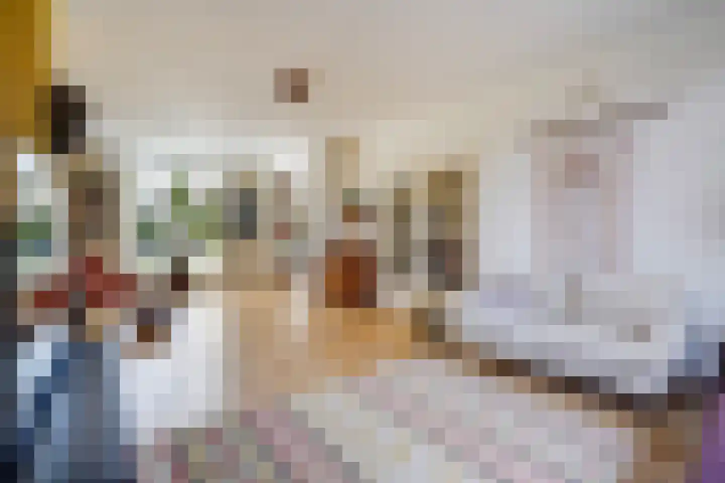 Kwartellaan 34 Den Haag thumbnail 14