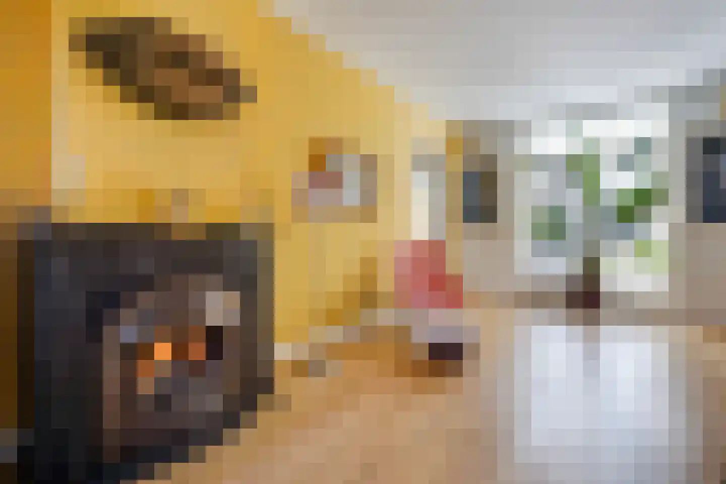 Kwartellaan 34 Den Haag thumbnail 15