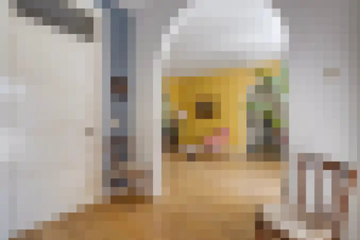Kwartellaan 34 Den Haag thumbnail 18