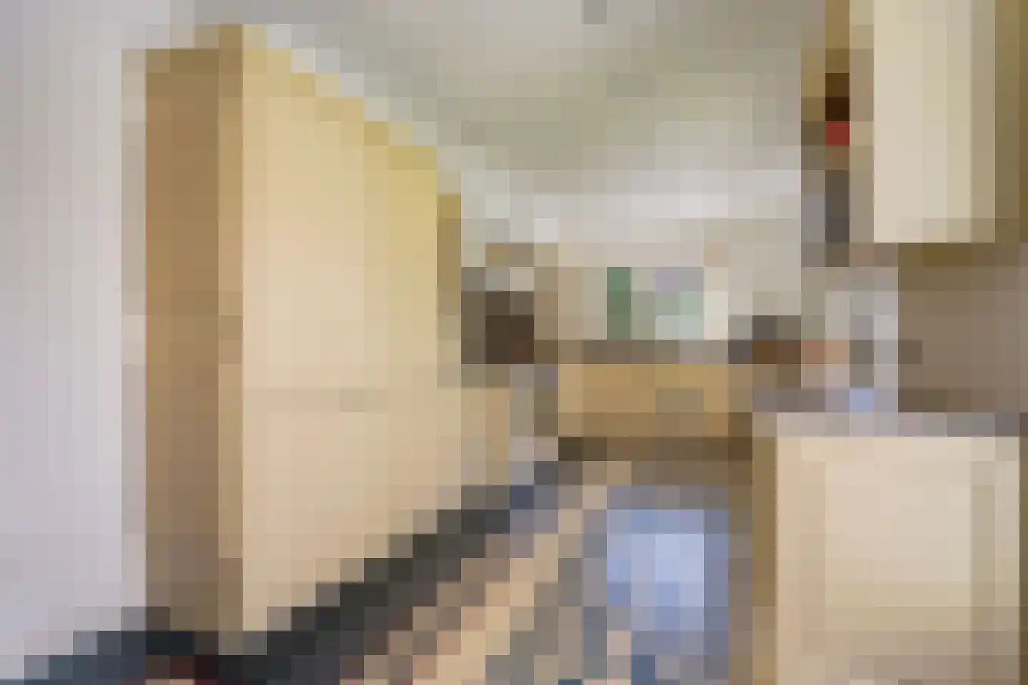 Kwartellaan 34 Den Haag thumbnail 21