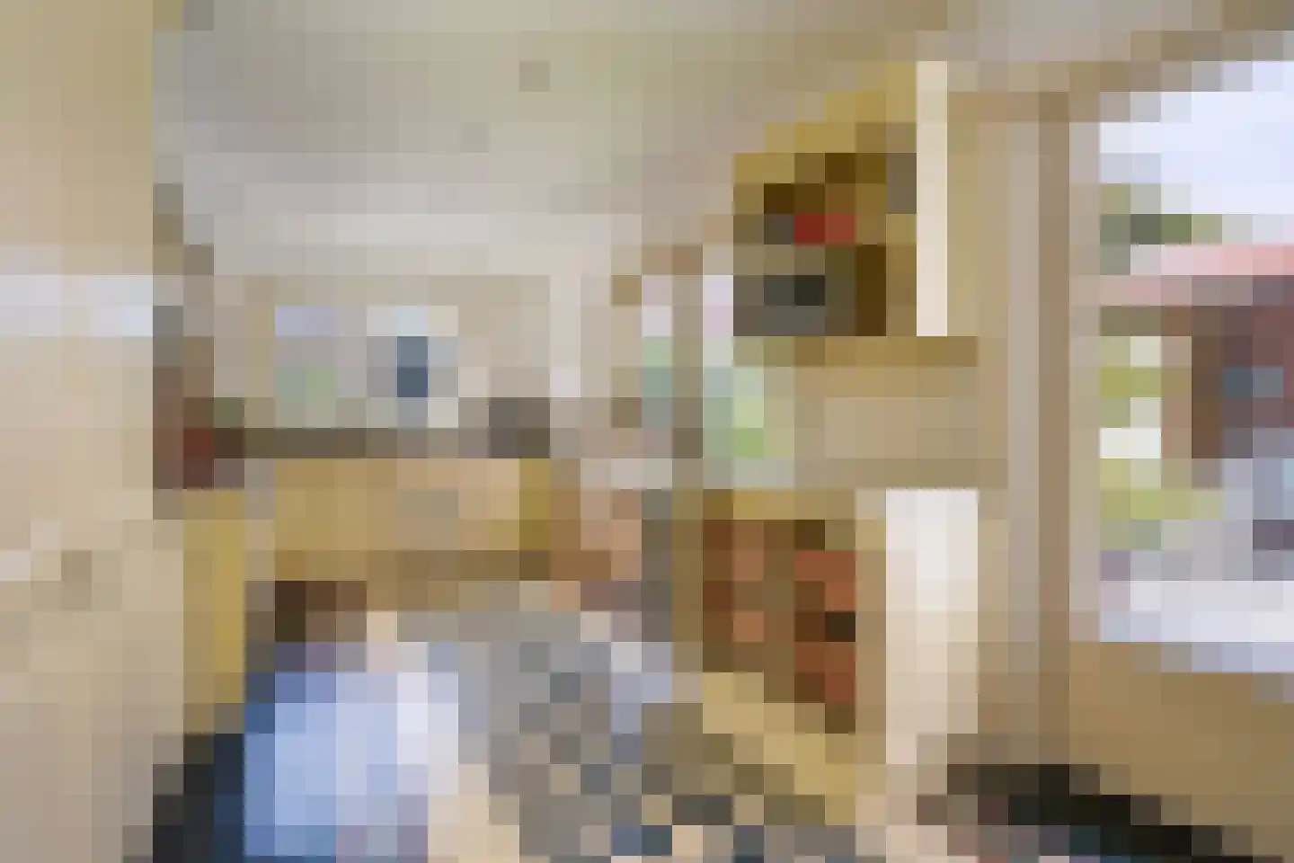 Kwartellaan 34 Den Haag thumbnail 22