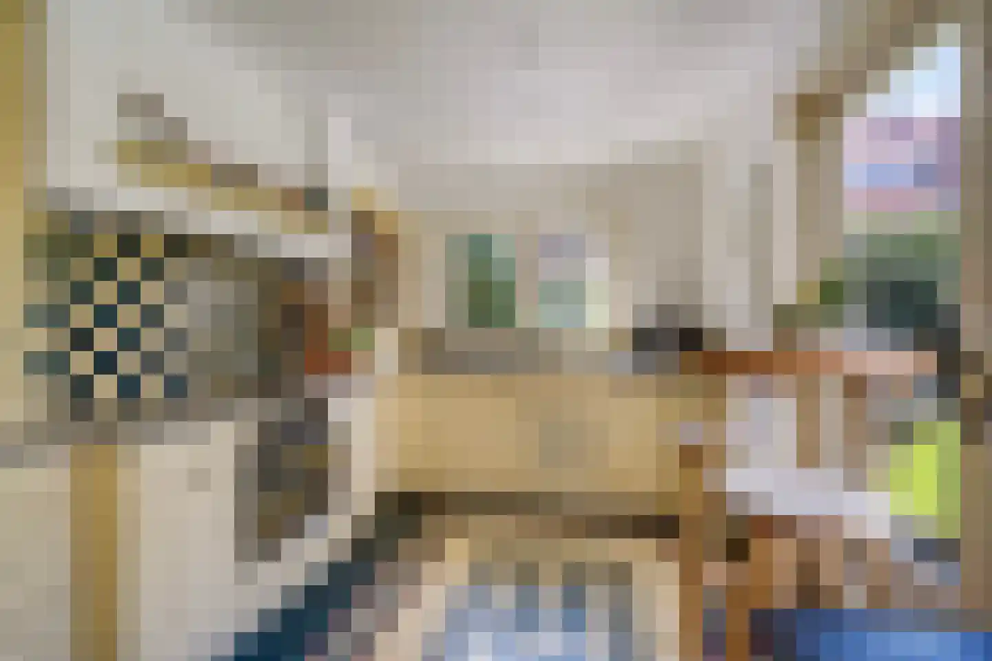 Kwartellaan 34 Den Haag thumbnail 23