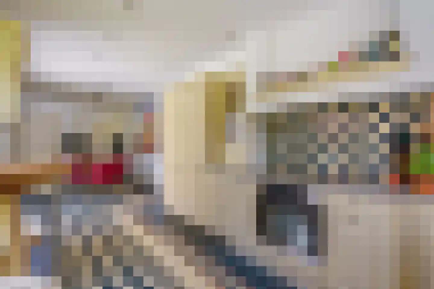 Kwartellaan 34 Den Haag thumbnail 24
