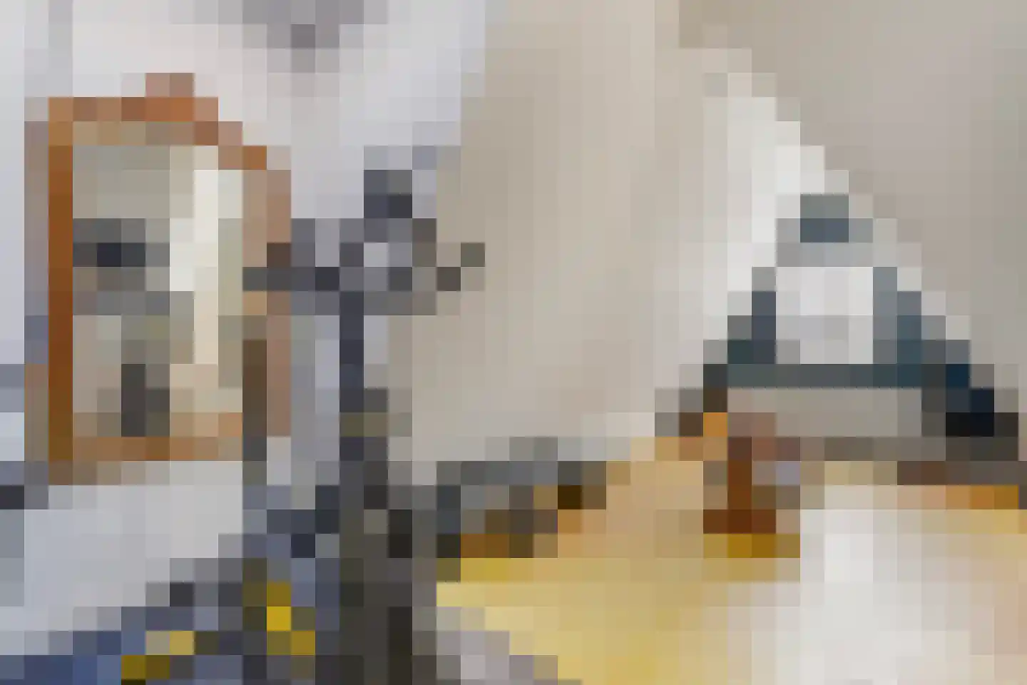 Kwartellaan 34 Den Haag thumbnail 37