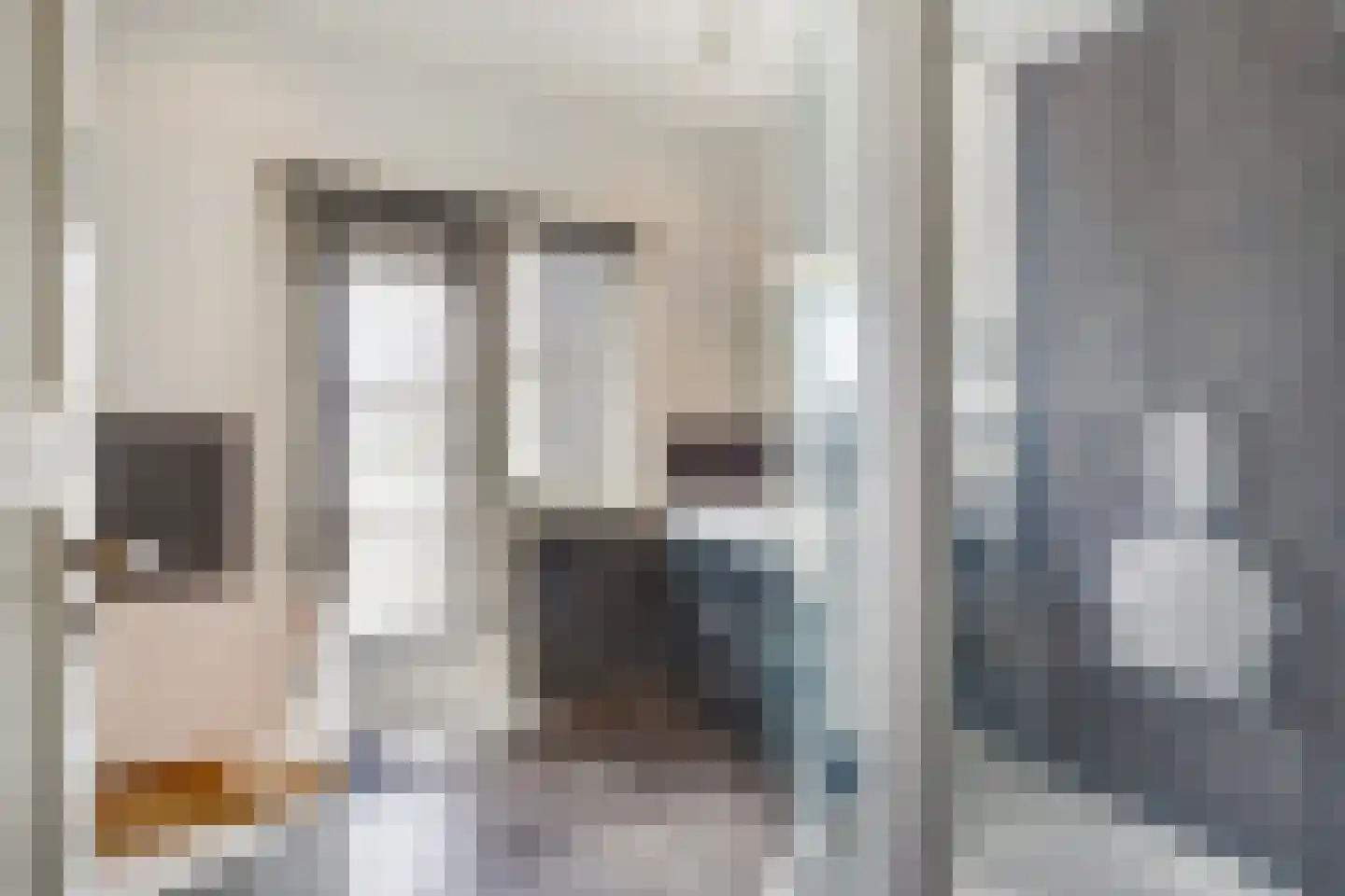 Kwartellaan 34 Den Haag thumbnail 41