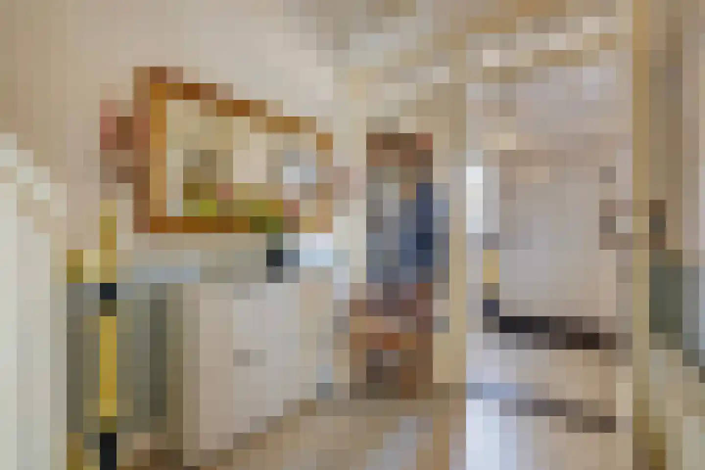Kwartellaan 34 Den Haag thumbnail 57