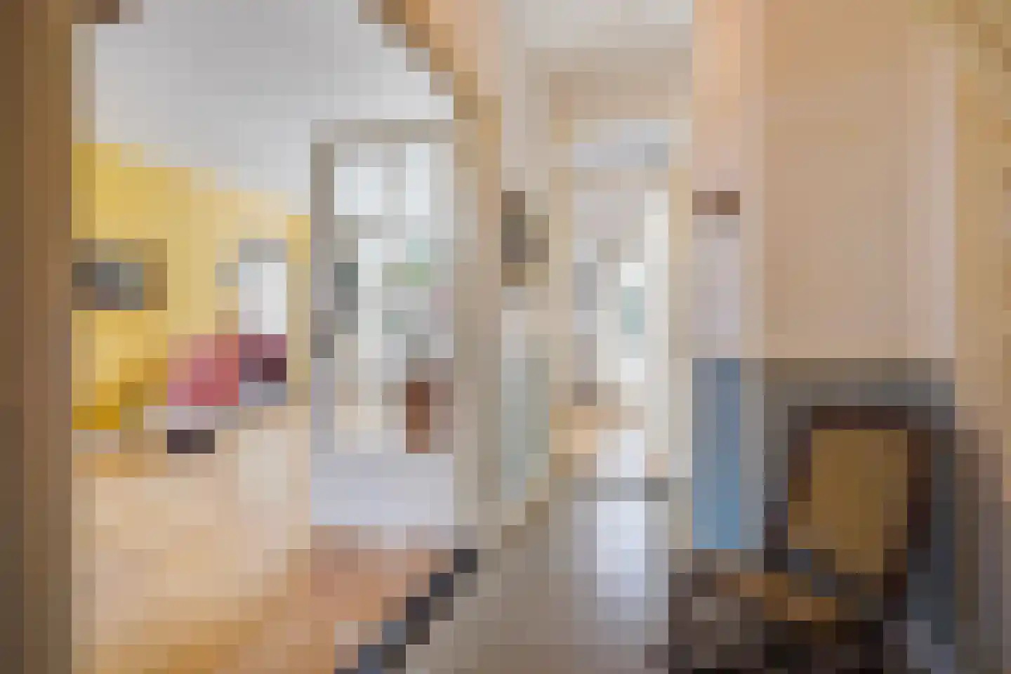 Kwartellaan 34 Den Haag thumbnail 7