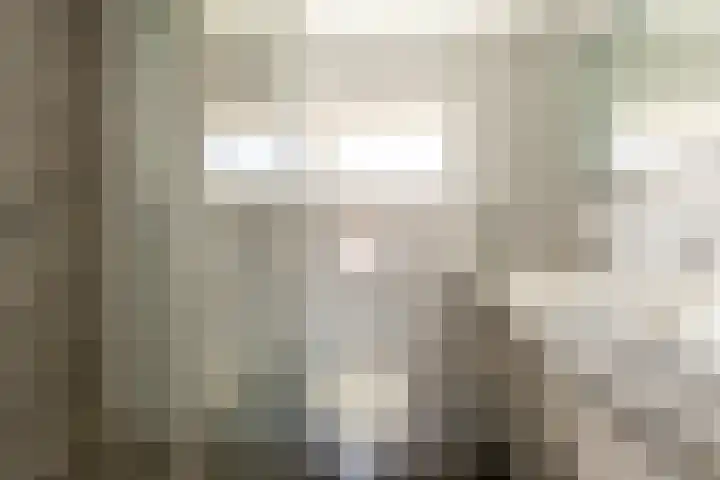 Kwartellaan 4 Heemstede thumbnail 11
