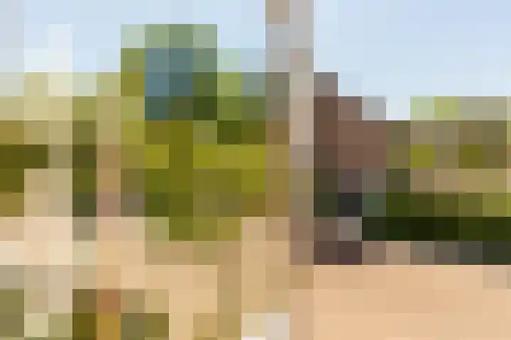 Kwartellaan 4 Heemstede thumbnail 13