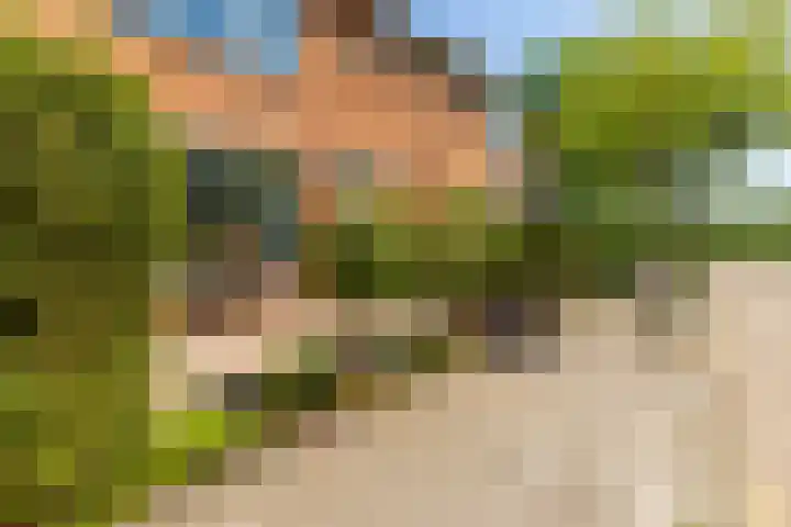 Kwartellaan 4 Heemstede thumbnail 24