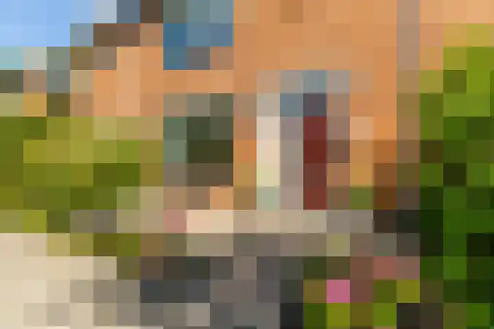 Kwartellaan 4 Heemstede thumbnail 4