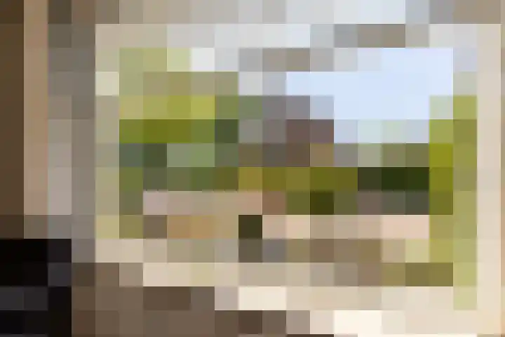 Kwartellaan 4 Heemstede thumbnail 5