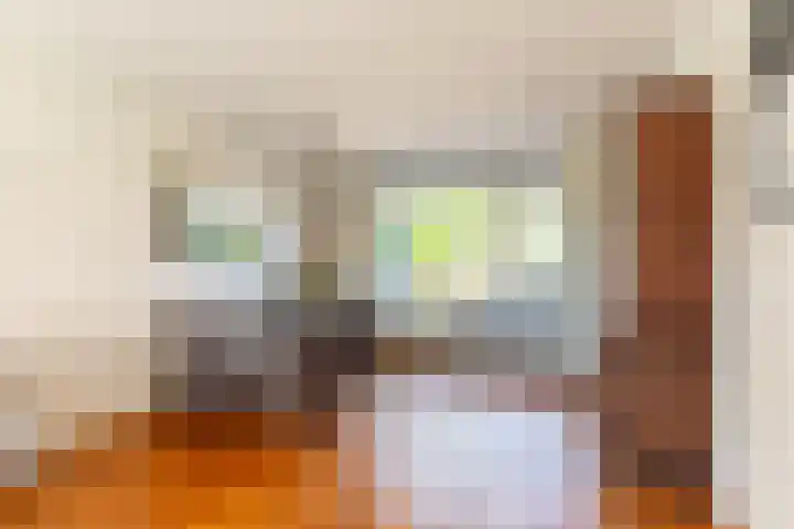 Kwartellaan 4 Heemstede thumbnail 8
