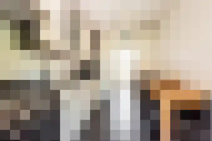 Kwartellaan 4 Heemstede thumbnail 9