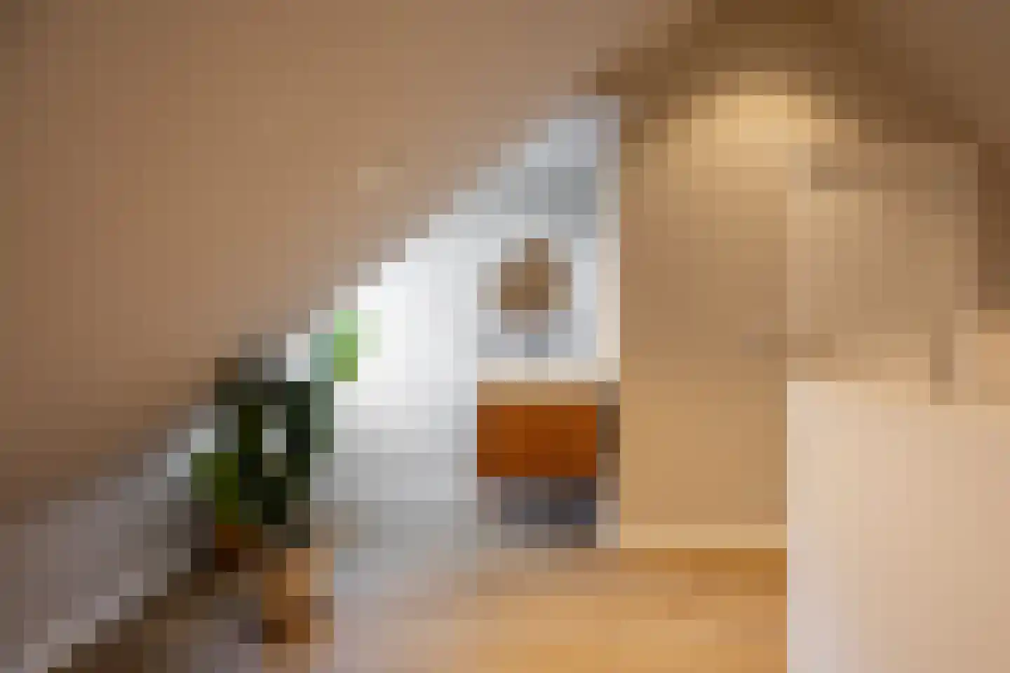 Kwartellaan 5 Heemstede thumbnail 20