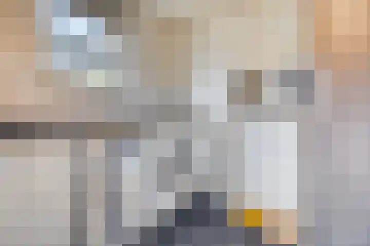 Kwartellaan 6 Wieringerwaard thumbnail 16