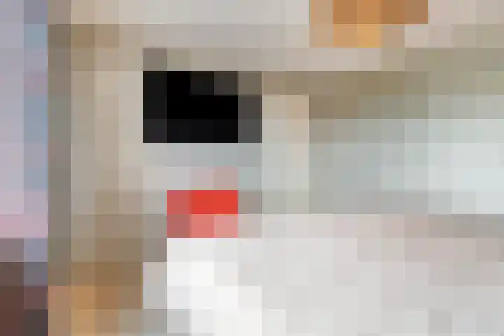 Kwartellaan 6 Wieringerwaard thumbnail 20