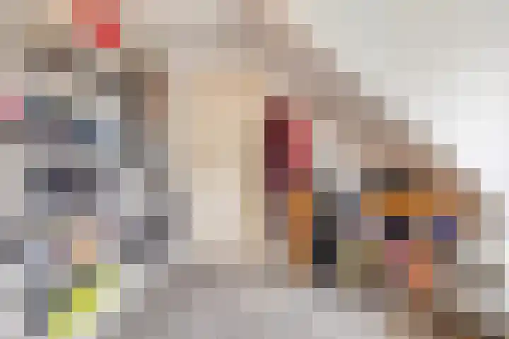 Kwartellaan 6 Wieringerwaard thumbnail 26