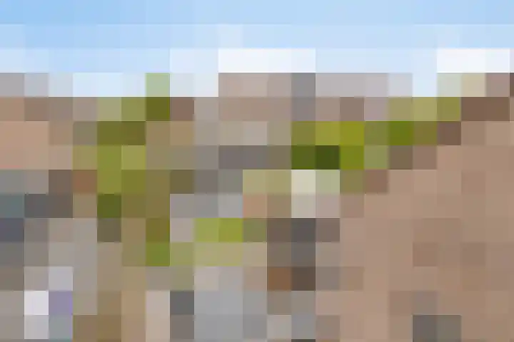 Kwartellaan 6 Wieringerwaard thumbnail 27