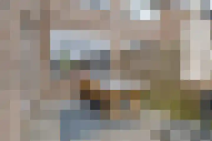 Kwartellaan 6 Wieringerwaard thumbnail 29
